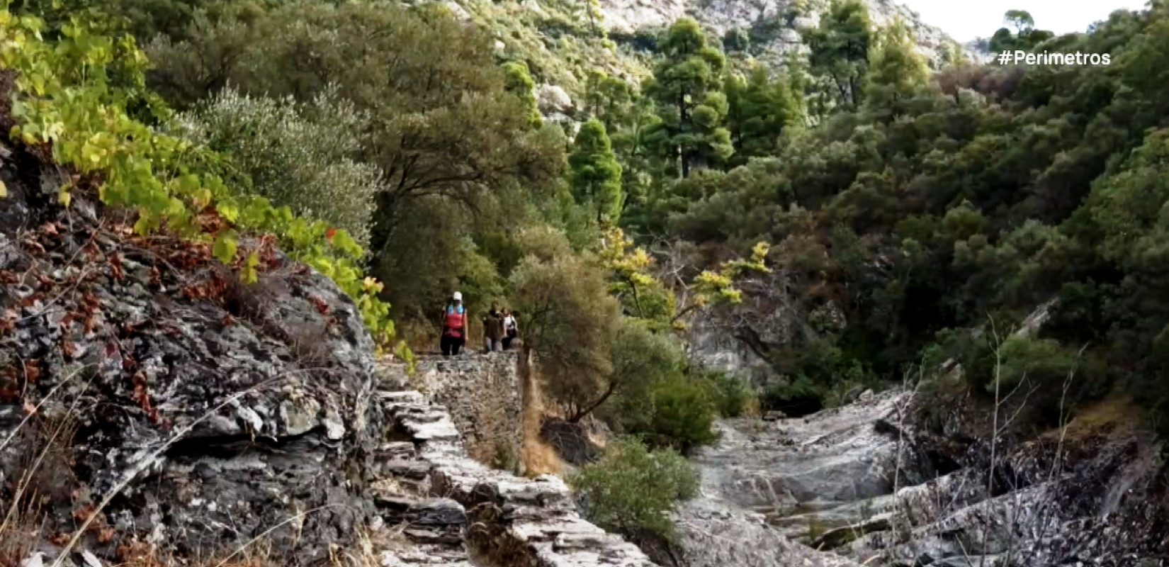 Εθελόντριες άνοιξαν τα μονοπάτια της Σιθωνίας